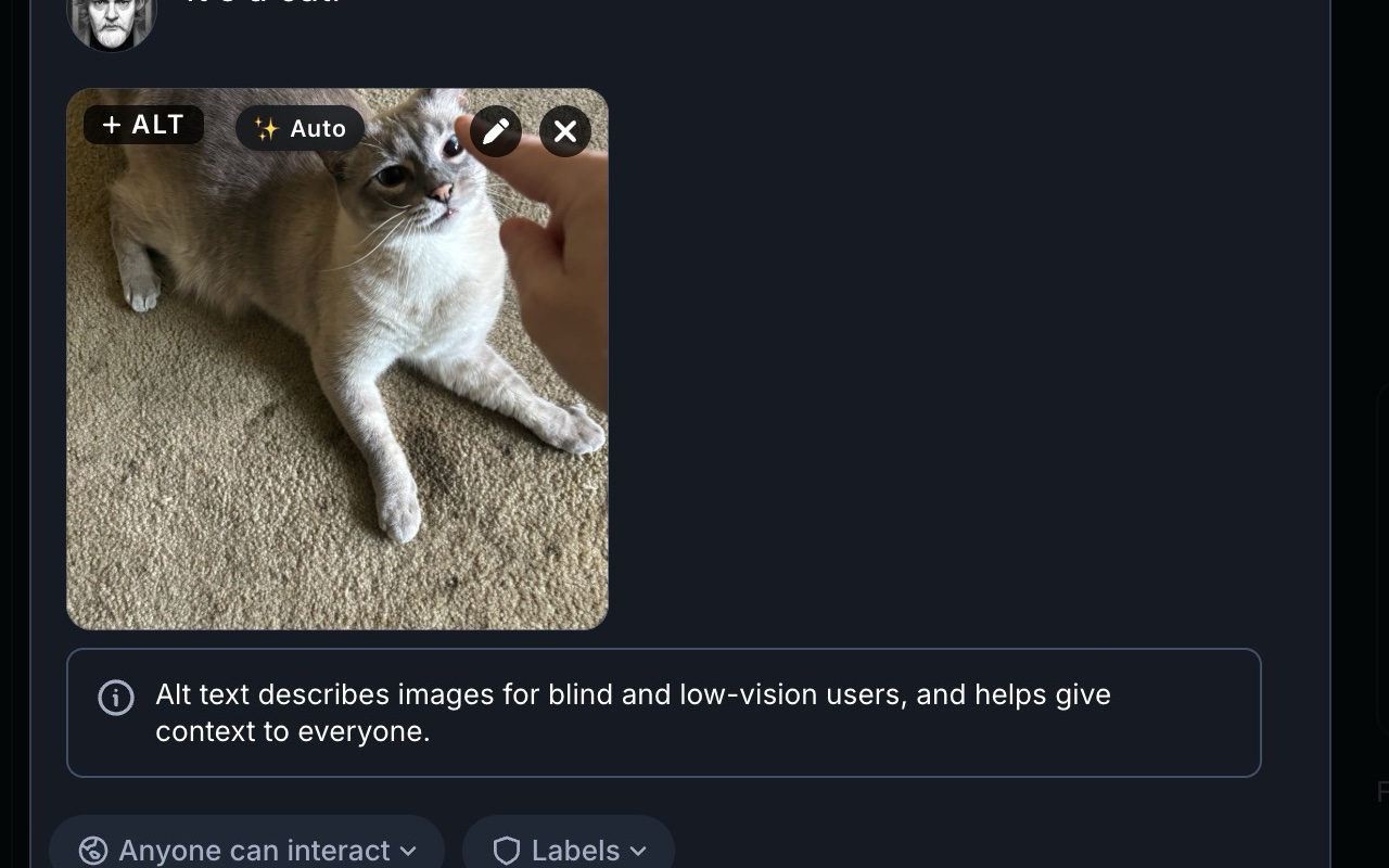 AutoAlt's ✨ Auto button next to Bluesky's +ALT chip on an attached image of a cat